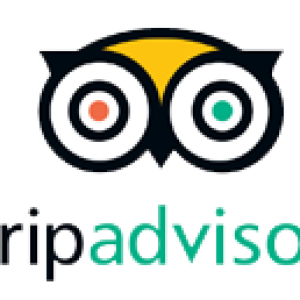 trip-advisor